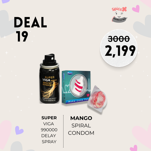 SpiceX Deal 19